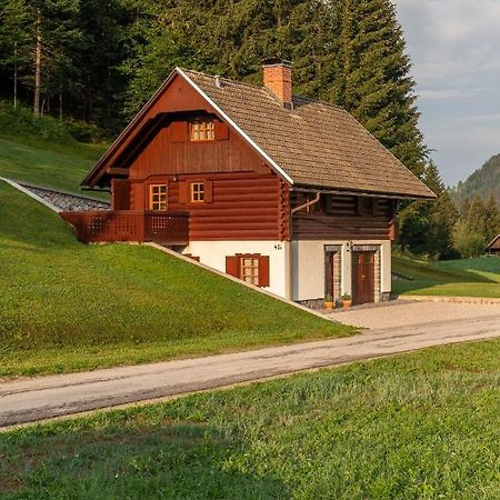 Chalet Ajda 博希尼 外观 照片